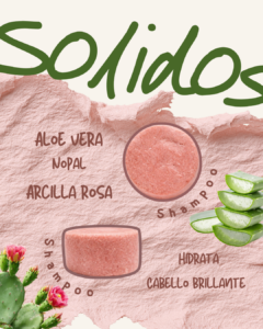 Solidos_20260130_135200_0000