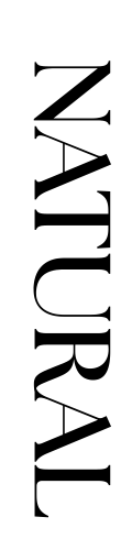 NATURAL (8.334 x 22.516 cm)_20260121_185912_0000